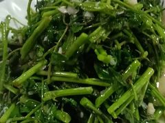 -柘林湖生态鱼馆