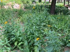 -国家植物园南园