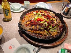 -老板恋上鱼(恒隆广场店)