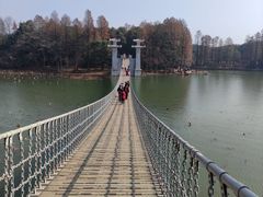 -东湖落雁景区