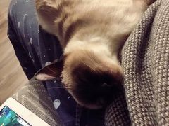 -美迦爱-牙专科·兔科·骨科诊疗中心(北苑店)