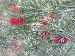 android_upload_pic-厦门悦华酒店