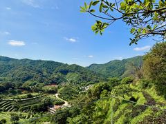 -象头山国家级自然保护区