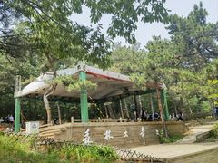 -北京西山国家森林公园