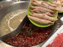 -知春路(地铁站)