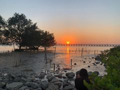 -宝安西湾红树林湿地公园