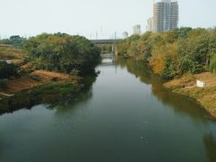 -四里河滨水生态公园