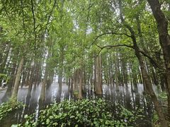 -东湖落雁景区