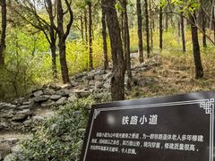 -佛慧山