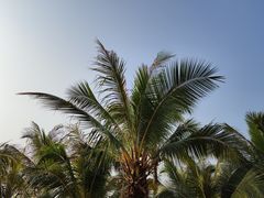 -玫瑰海岸文化旅游度假区
