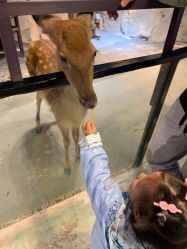 -酷嗒动物文化乐园(cutezoo西溪乐天城店)