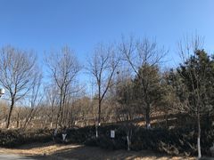 -北京奥林匹克公园