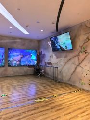 -Zoolung Zoolung动物主题公园(海信广场店)