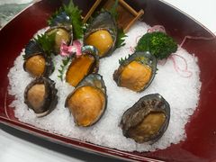 六头鲍鱼-红鼎豆捞·非遗鲍皇汤火锅(宝丰路店)