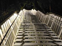 -福道