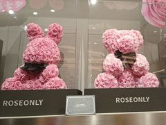 -ROSEONLY诺誓(沈阳万象城店)