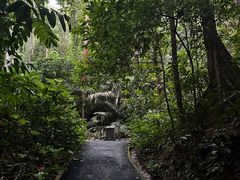 -槟城植物园