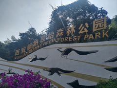 -西双版纳原始森林公园