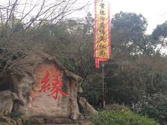 -杭州黄龙洞