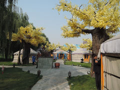 DSCN2733-大汗行宫园林餐厅