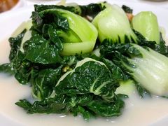 上汤浸白菜苗-东海海鲜酒家(中信广场店)