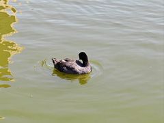 -前关湿地公园