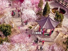 -桃花堤公园
