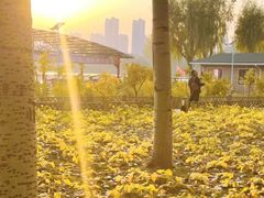 -嵖岈山风景区