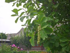 -北京宽沟会议中心