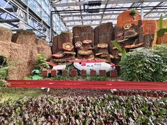 -兰陵国家农业公园