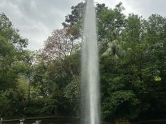 -九龙公园