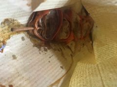 -豪華小食.華記