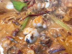 牛蛙煲-范贤光鸡公煲(平乐园总店)