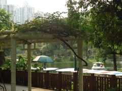 -晓港公园