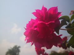 -西双版纳傣族园