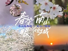-南山植物园