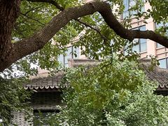 -浙江大学医学院附属第一医院(庆春院区)