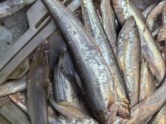 -上海老范农家乐(崇明前卫村店)