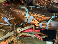 -喜记避风塘炒辣蟹(旗舰店)