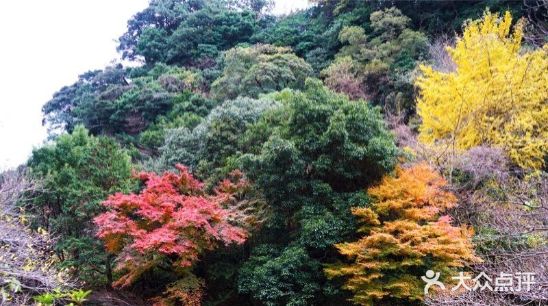 潭水深20m，清澈无比