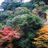 潭水深20m，清澈无比