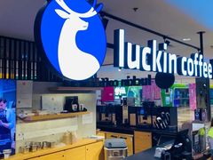 -luckincoffee瑞幸咖啡(顺义华联商厦店)