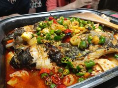 清江鱼-烟火鱼乡(京华城店)