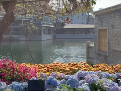 -荔湾湖公园