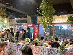 -柴窝堡22号辣子鸡·传承新疆菜