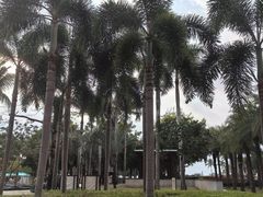 -三亚海棠湾万丽度假酒店