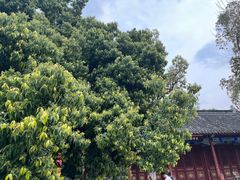 -成都武侯祠博物馆