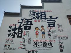 -洋湖国家湿地公园