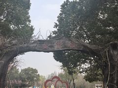 -梁鸿国家湿地公园