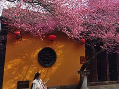 -佬钱湾仔(衣裳街店)